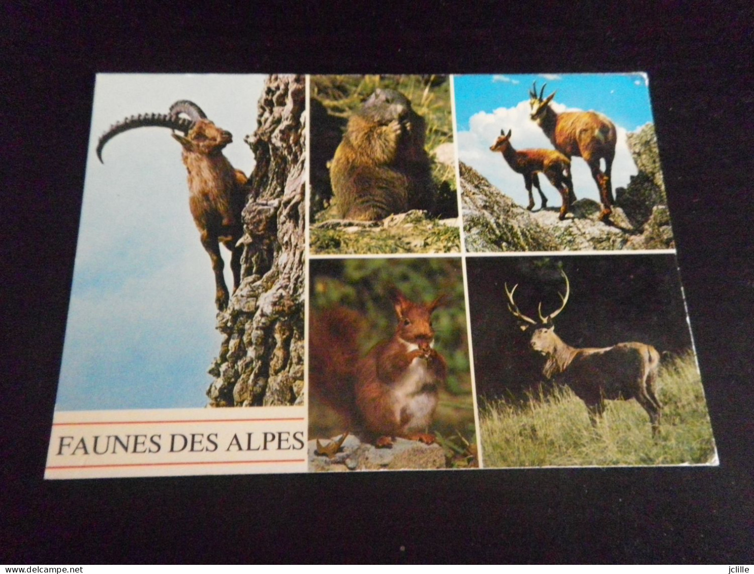 LOT DE +DE 100 cartes ANIMAUX - CHIEN CHAT ANE DAUPHIN SINGE ELEPHANT OISEAUX etc