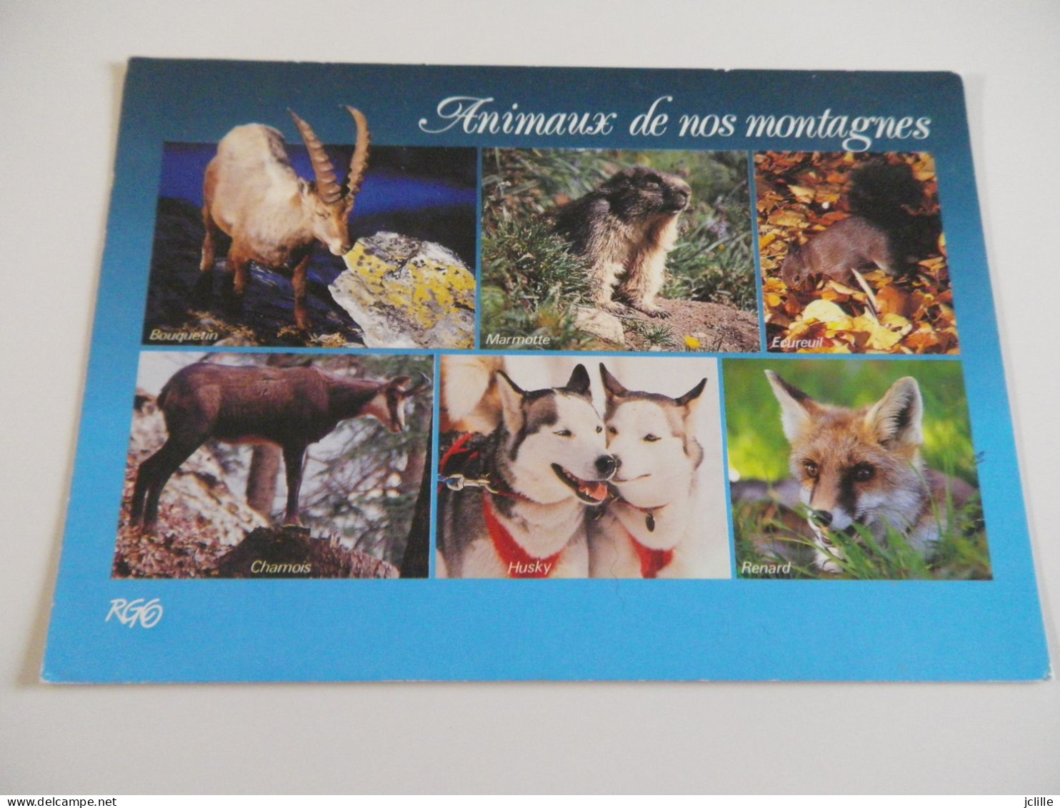 LOT DE +DE 100 cartes ANIMAUX - CHIEN CHAT ANE DAUPHIN SINGE ELEPHANT OISEAUX etc