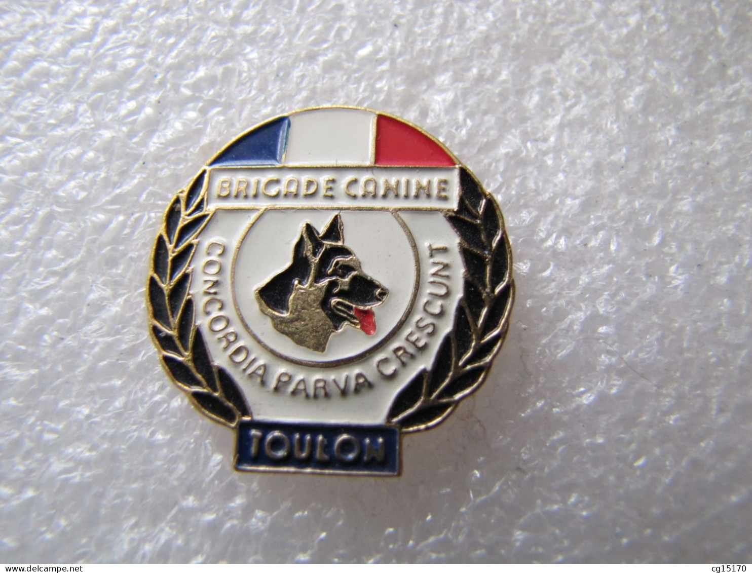 PIN'S    POLICE  BRIGADE CANINE  TOULON - Animaux