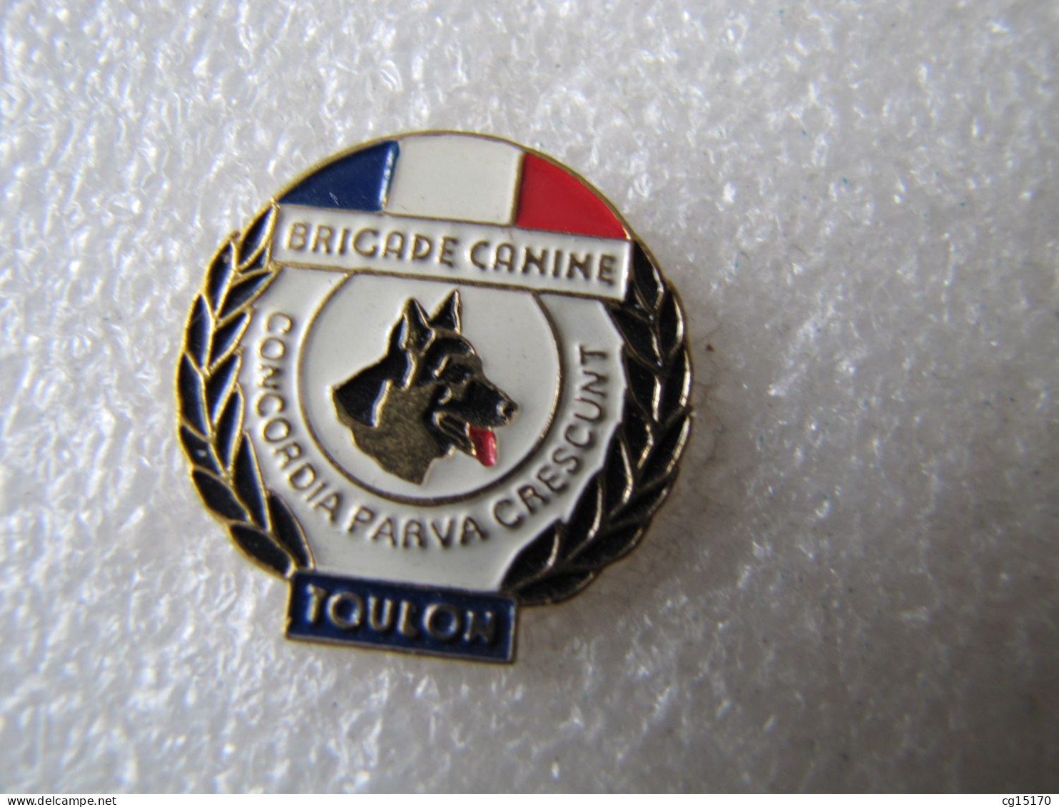 PIN'S    POLICE  BRIGADE CANINE  TOULON - Animaux