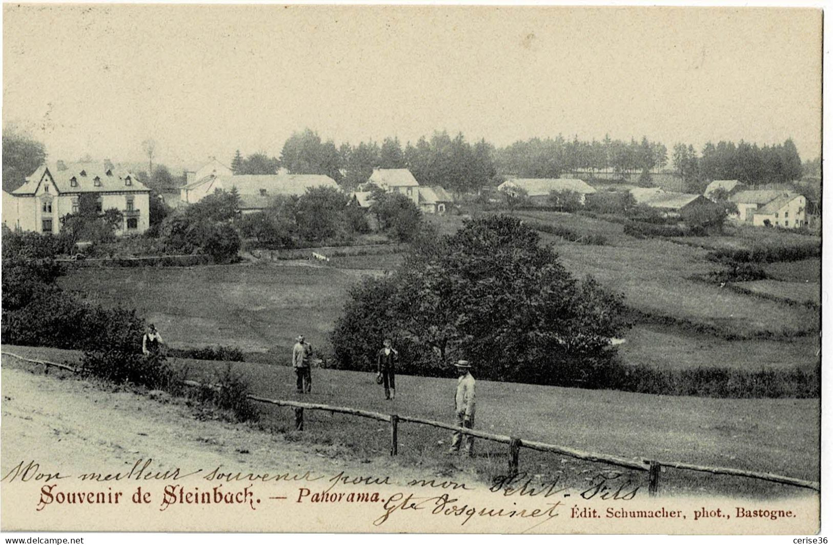 Souvenir De Steinbach Panorama Circulée En 1905 - Gouvy