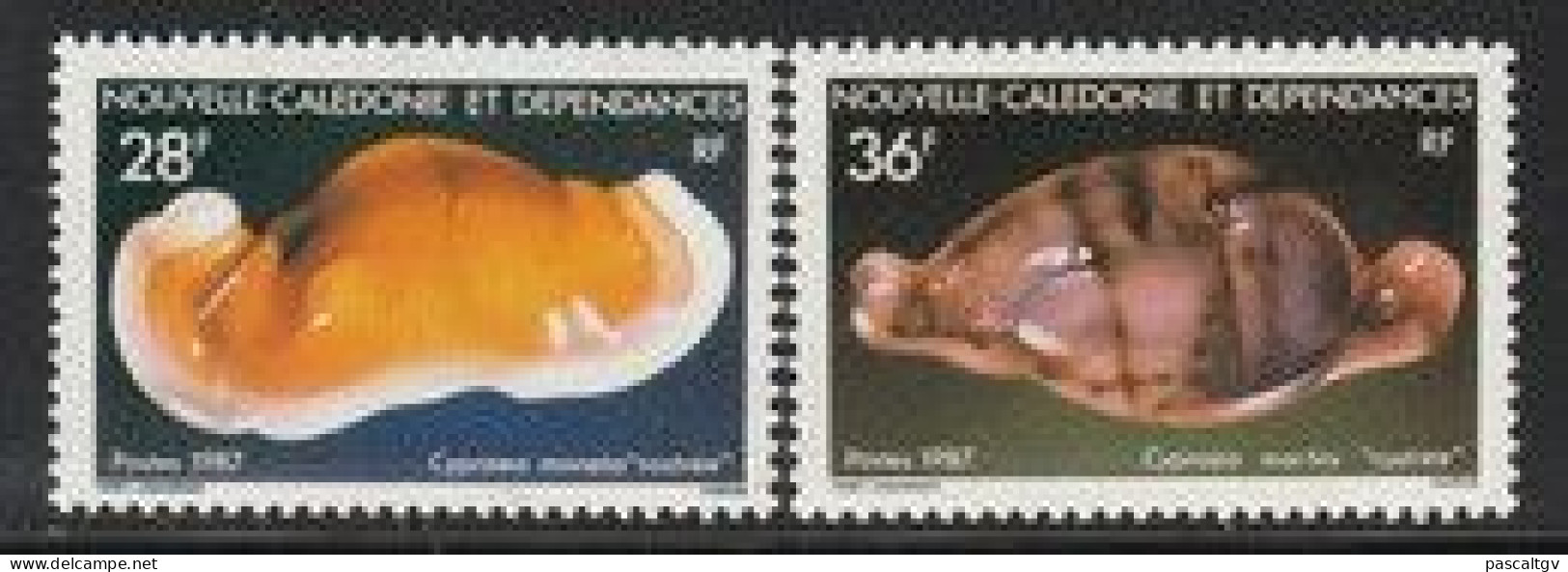 Nouvelle Calédonie - 1987 - Paire N°538 à 539 ** - Nuovi