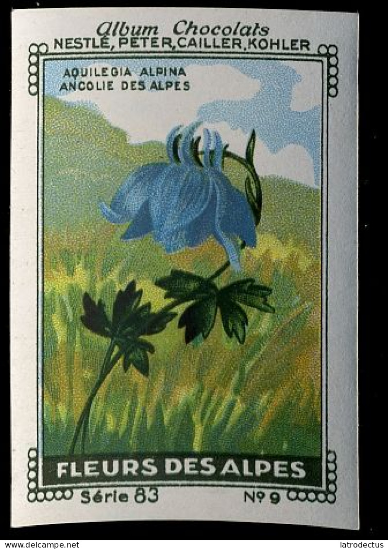 Nestlé - 83 - Fleur Des Alpes, Flora Of The Alps - 9 - Aquilegia - Nestlé