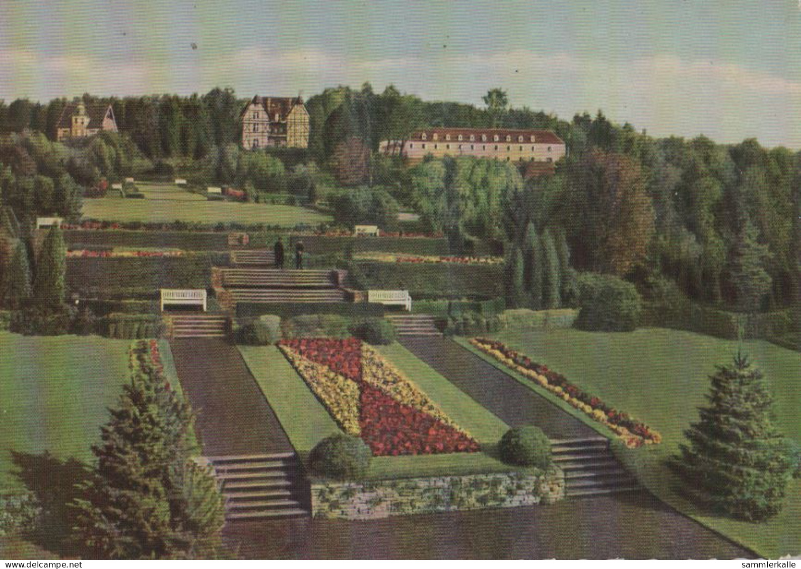 28837 - Horn-Bad Meinberg - Berggarten - 1954 - Bad Meinberg