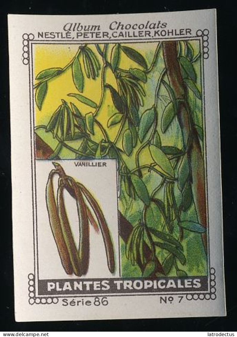 Nestlé - 86 - Plantes Tropicales, Tropical Plants - 7 - Vanillier, Vanille, Vanilla - Nestlé