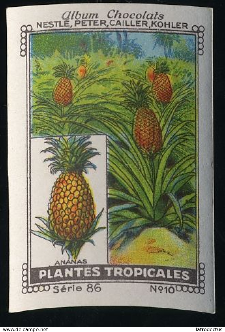 Nestlé - 86 - Plantes Tropicales, Tropical Plants - 10 - Ananas - Nestlé