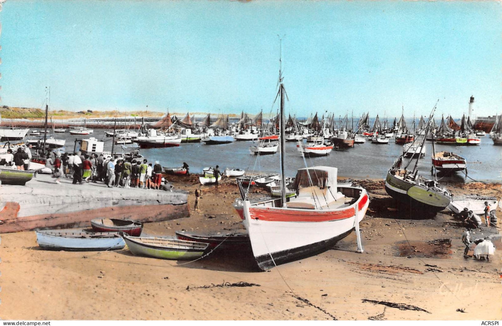 17 île D'Oléron  LA COTINIERE  Vue Du Port  Carte Vierge  (Scans R/V) N° 38 \MO7001 - Saint-Pierre-d'Oleron