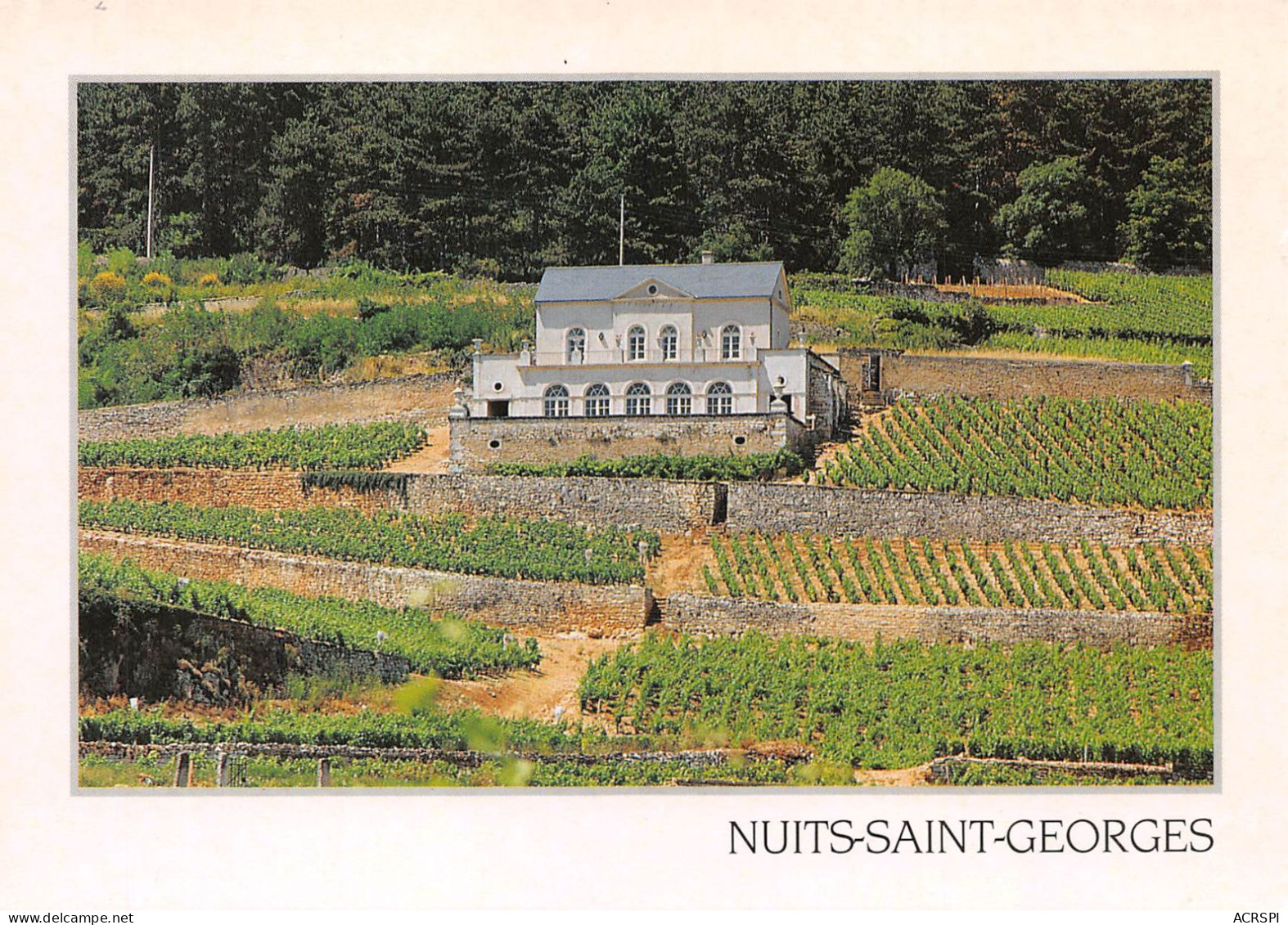 21 NUITS SAINT GEORGES Le Chateau GRIS Carte Vierge Non Circulé (Scans R/V) N° 10 \MO7014 - Nuits Saint Georges
