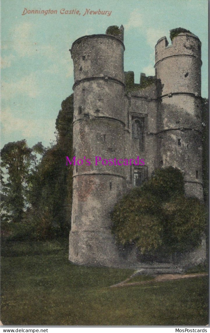 Berkshire Postcard - Donnington Castle, Newbury   DZ6 - Autres & Non Classés