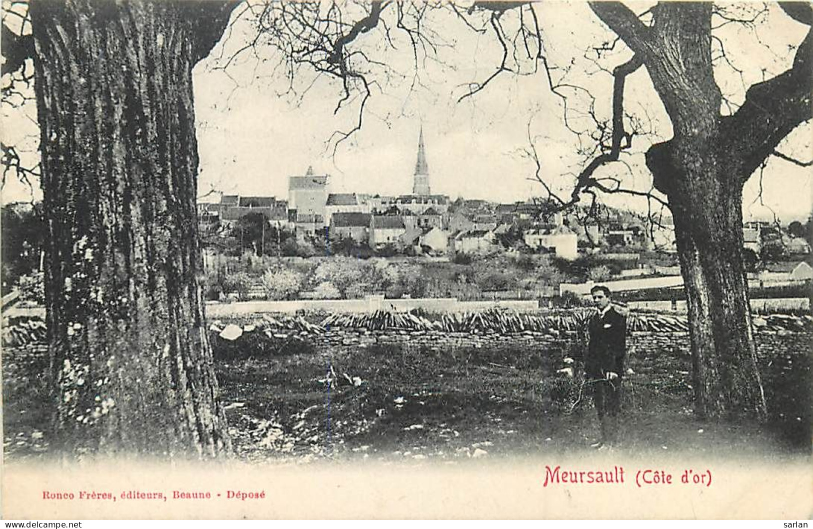 21 , MEURSAULT , *  471 08 - Meursault