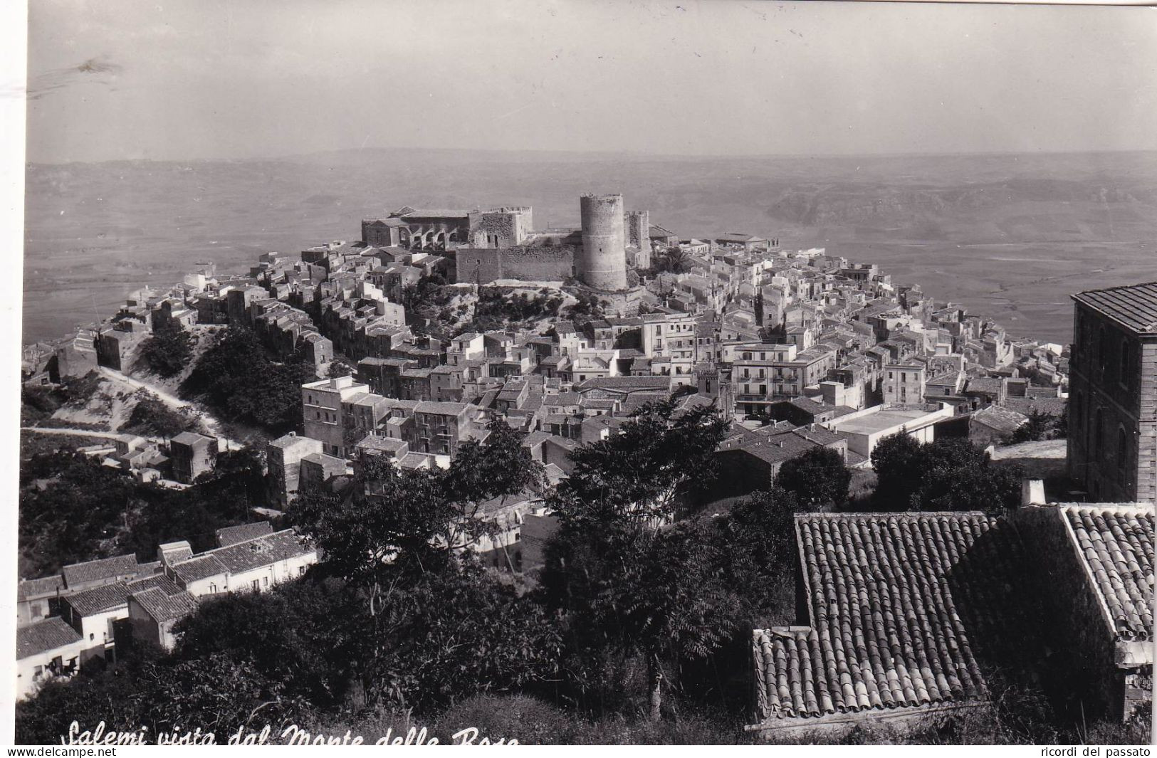 Cartolina Salemi ( Trapani ) Vista Dal Monte Delle Rose - Trapani