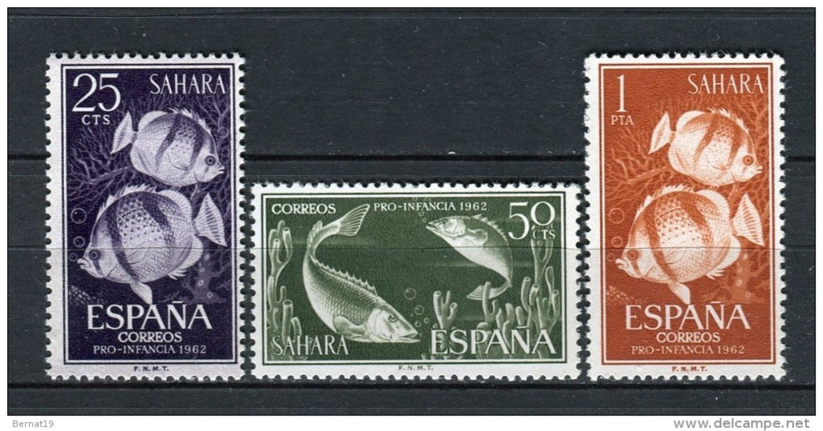 Sahara 1962. Edifil 209-11 ** MNH. - Sahara Espagnol