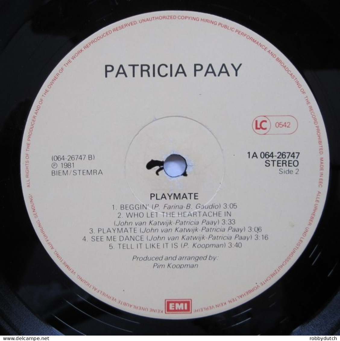 * LP *  PATRICIA PAAY - PLAYMATE ( Incl. Poster!) (Holland 1981 EX) - Disco & Pop