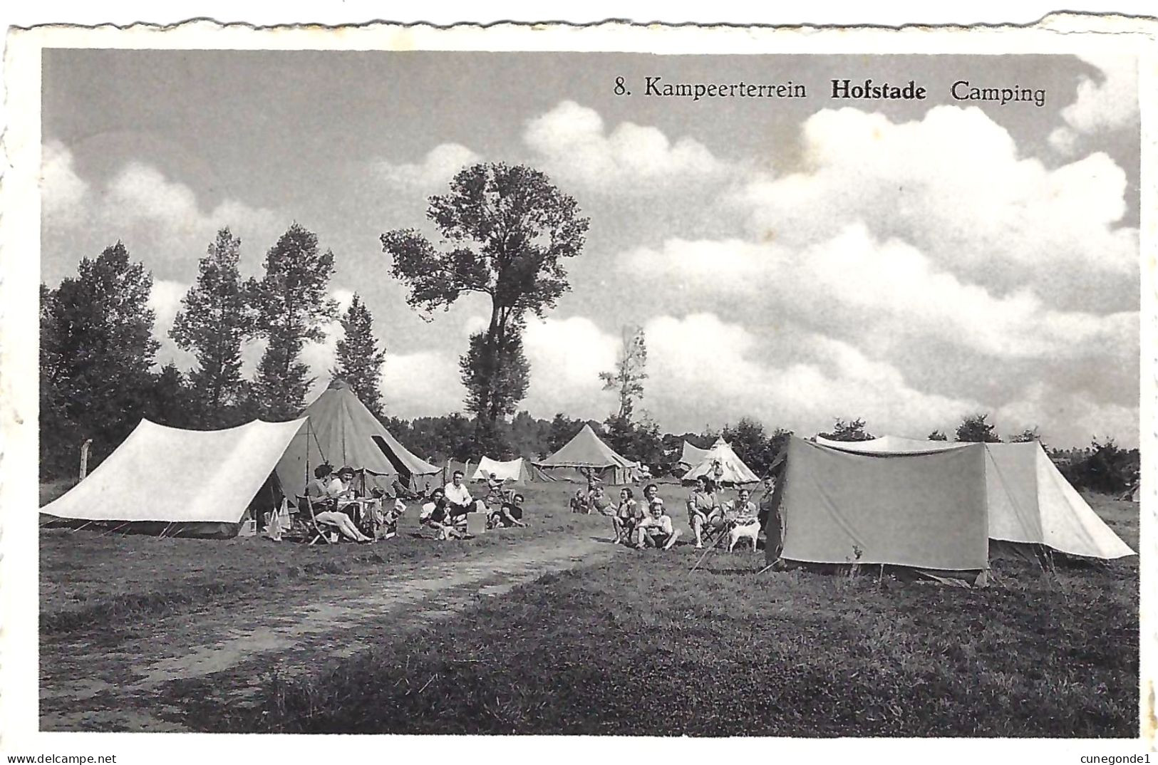 CPSM HOFSTADE : Kempeerterrein / Camping - Circulée En 1951 Vers Berchem - Edit. L'Heembeekoise, Brux. 2 Scans - Aalst