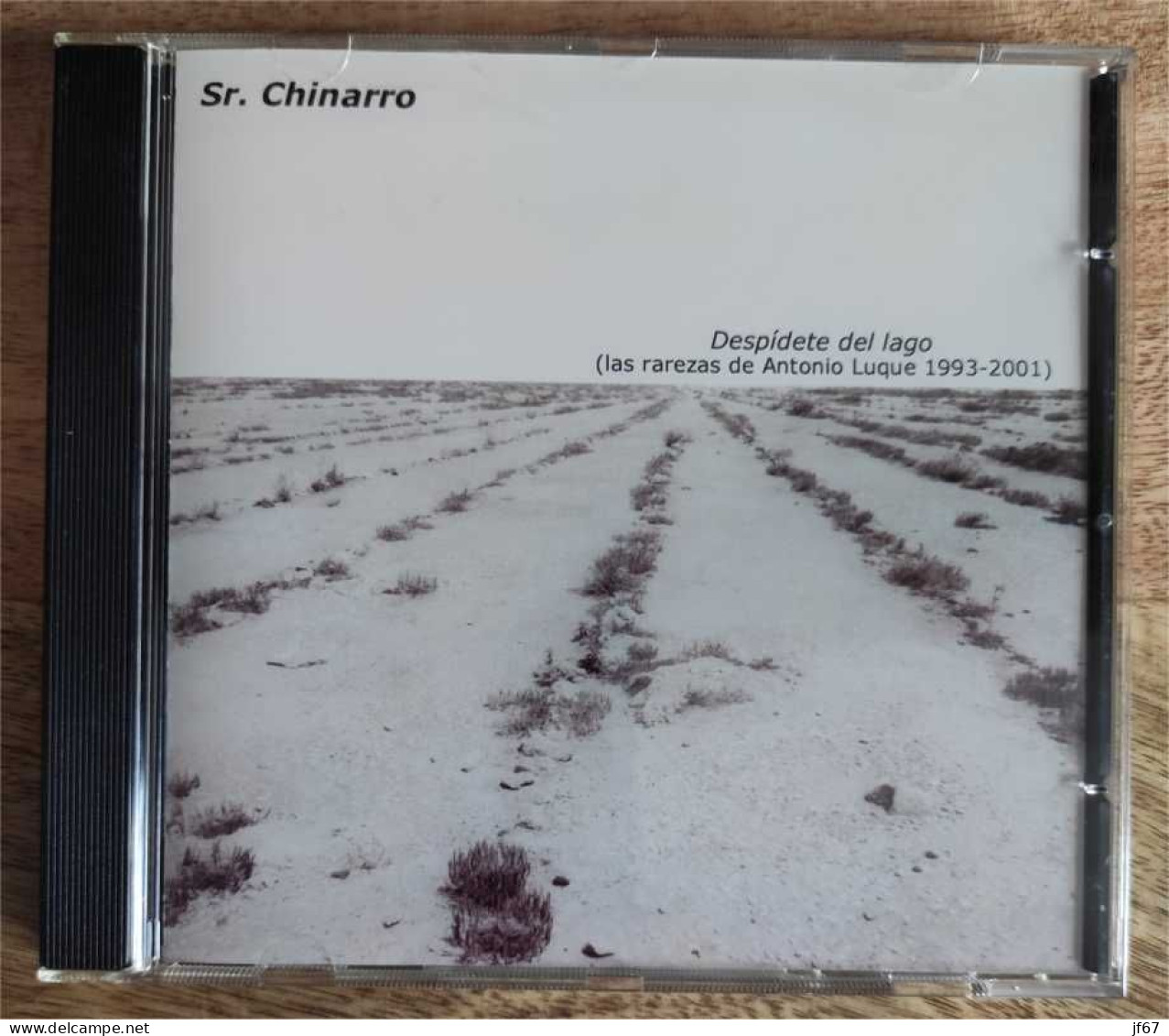 Sr. Chinarro - Despidete Del Lago (CD) - Rock