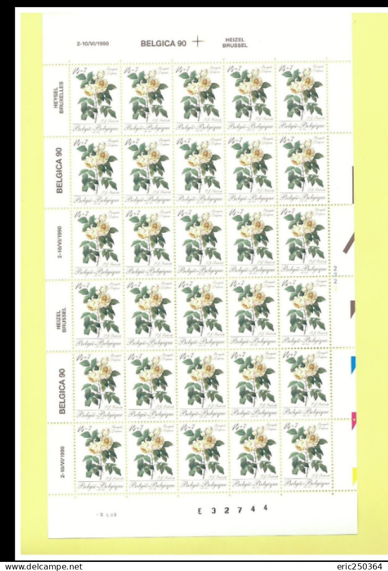 Superbe lot de 25 feuilles de timbres entières / BELGICA et ROYAUTE