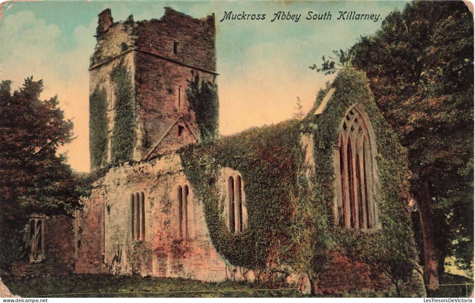 IRLANDE - Muckross Abbey South Killarney - Colorisé - Carte Postale Ancienne - Kerry