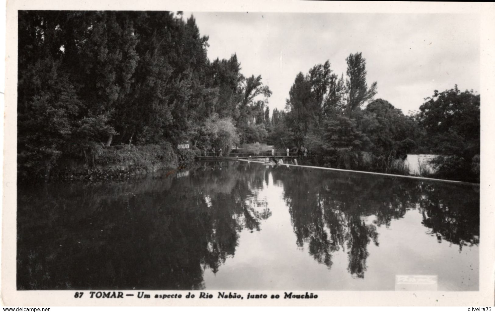 TOMAR - Um Aaspecto Do Rio Nabão, Junto Ao Mouchão (Ed. Passaporte. Nº 87) - PORTUGAL - Santarem