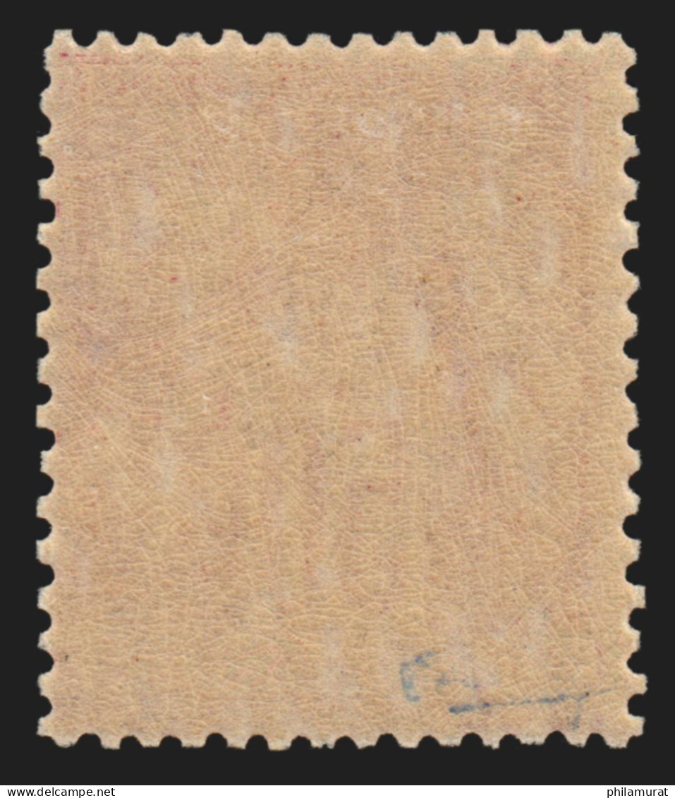 N°104, Sage 50c Rose (N Sous B), Neuf ** Sans Charnière - TB - 1898-1900 Sage (Type III)