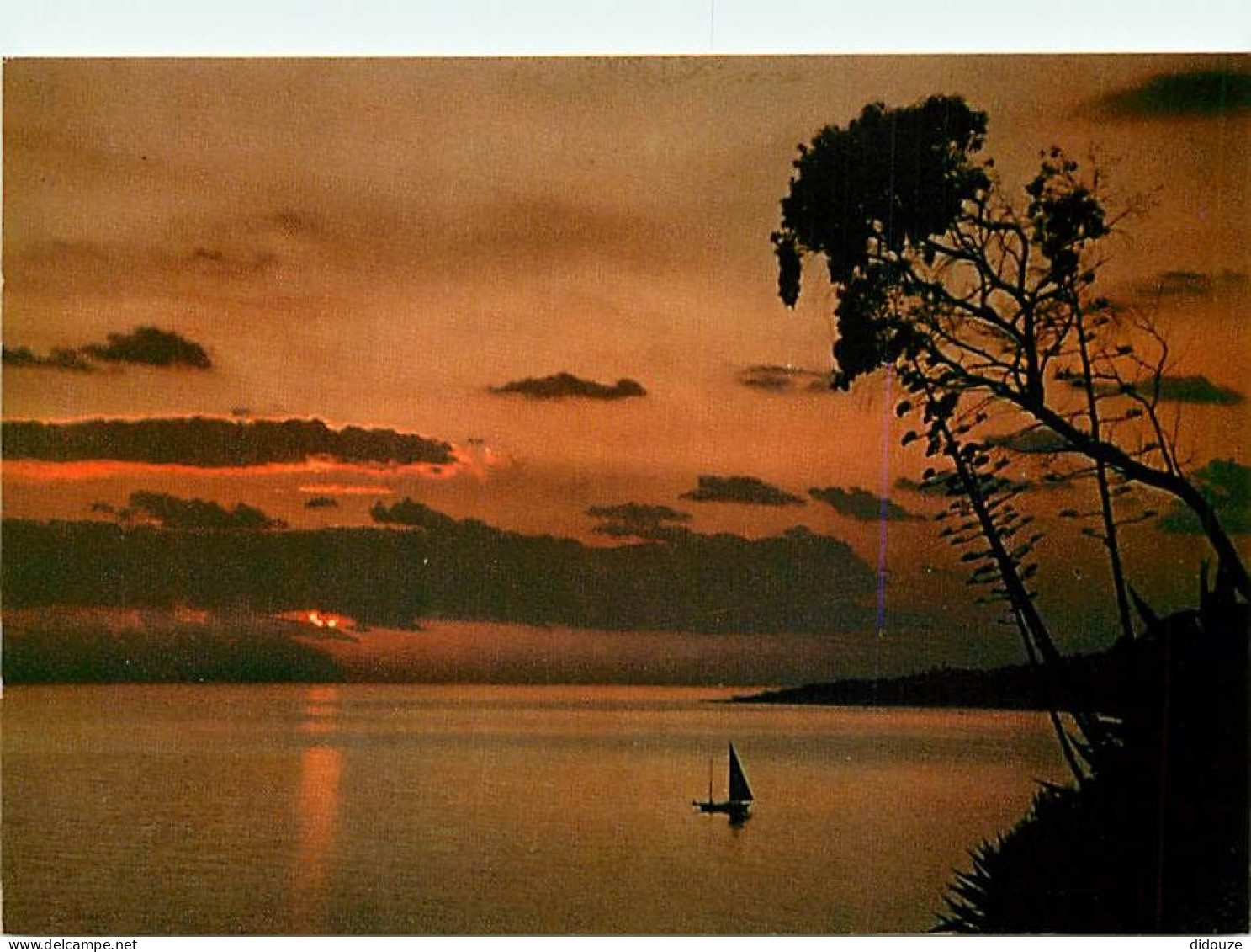 Coucher De Soleil - CPM - Voir Scans Recto-Verso - Contre La Lumière