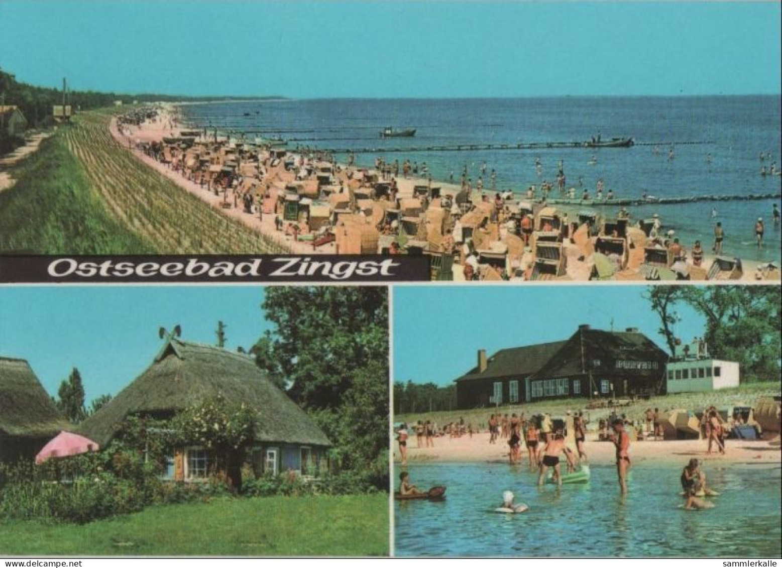 89688 - Zingst - 3 Teilbilder - 1972 - Zingst