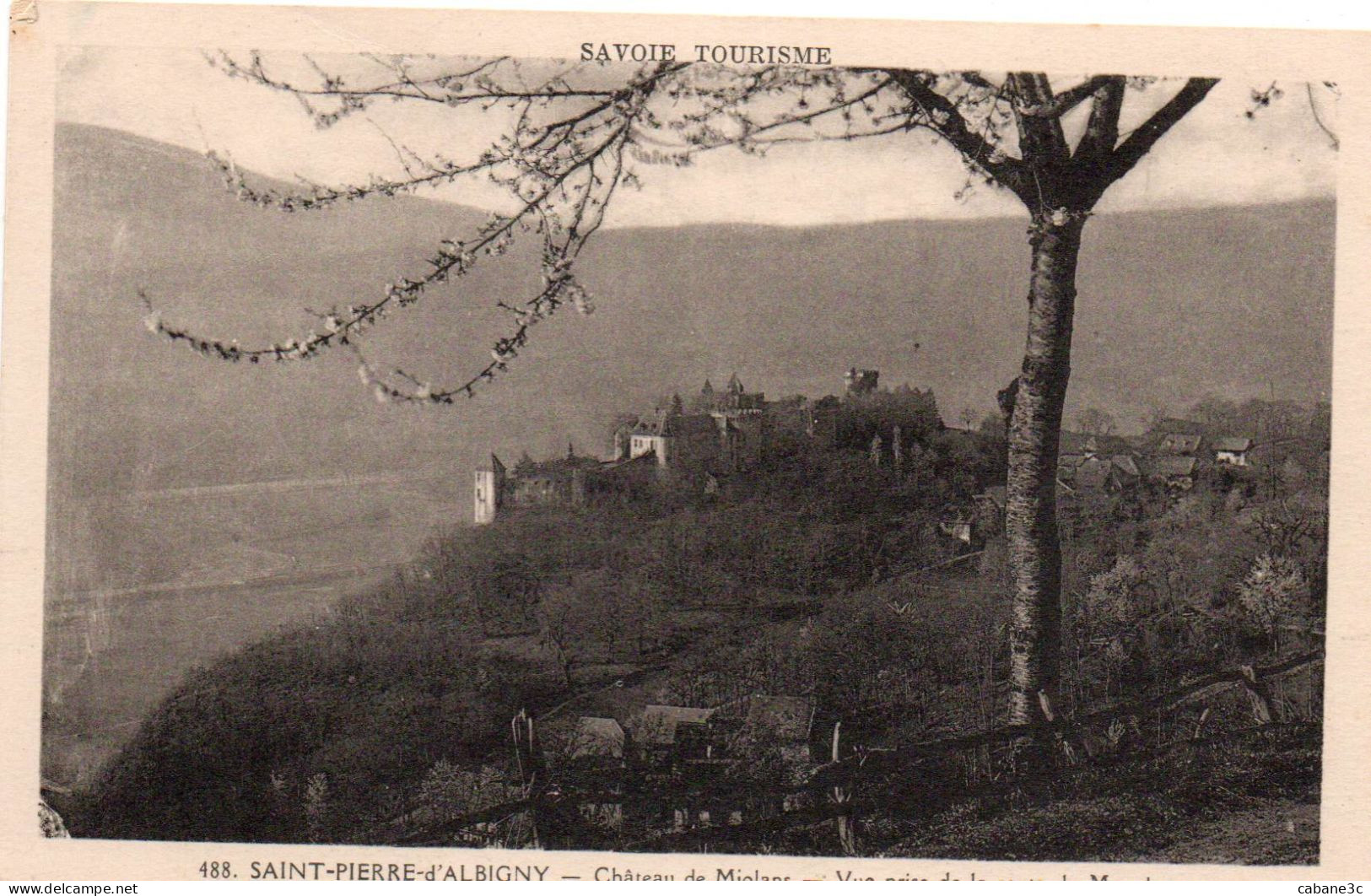 SAINT-PIERRE-d'ALBIGNY - Château De Miolans - Vue Prise De La Route De Monplan - Saint Pierre D'Albigny