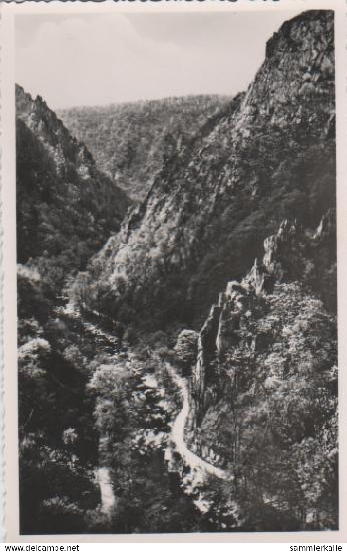 13566 - Bodetal Bei Thale - 1953 - Thale