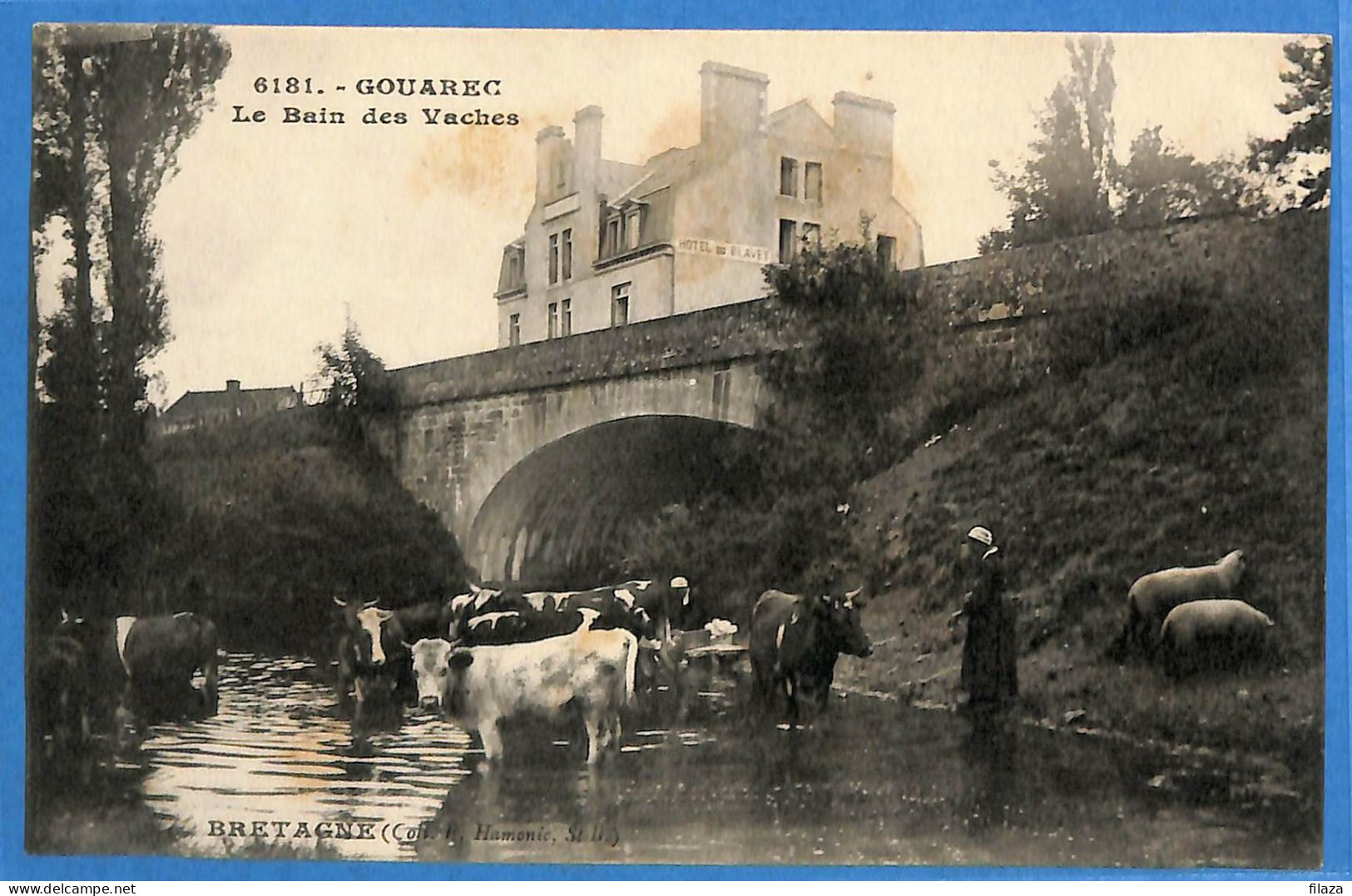 22 - Côtes D'Armor - Gouarec - Le Bain Des Vaches (N15439) - Gouarec