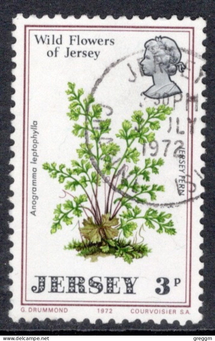 Jersey 1972 Single Stamp From Wild Flowers Of Jersey In Fine Used - Jersey