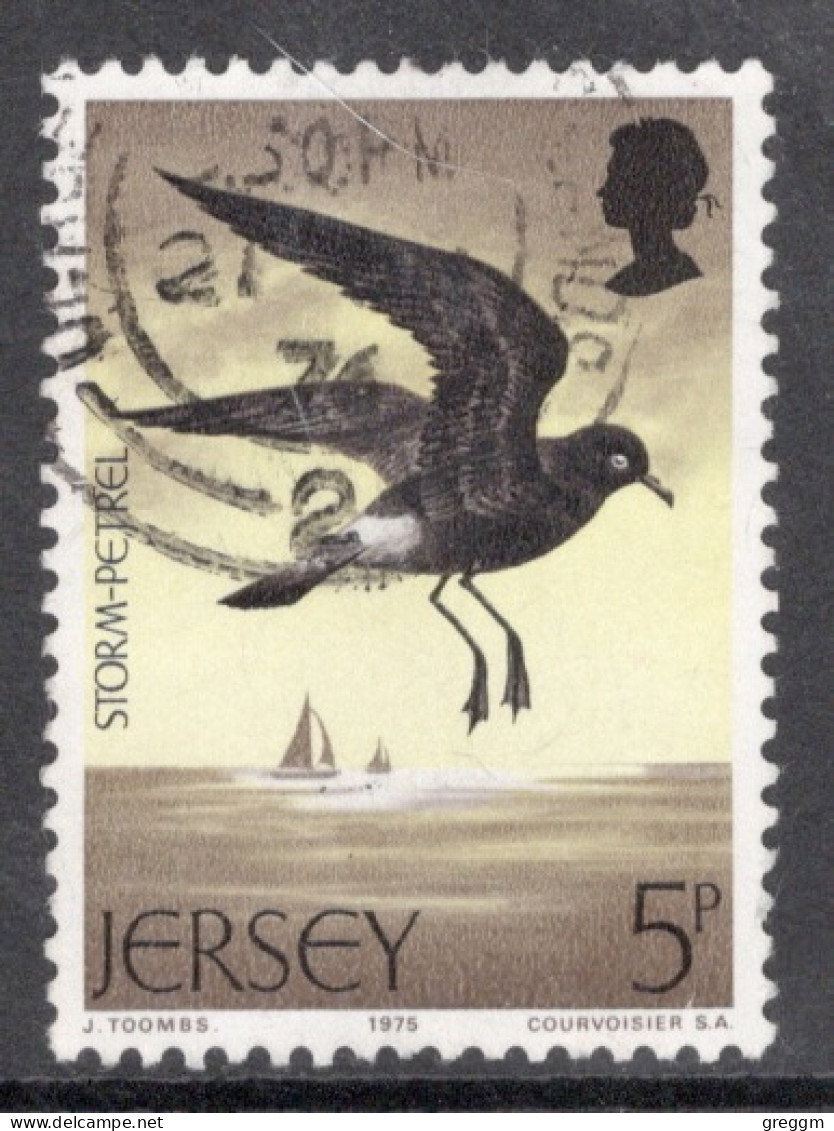 Jersey 1975 Single Stamp From The Seabirds Set In Fine Used - Jersey