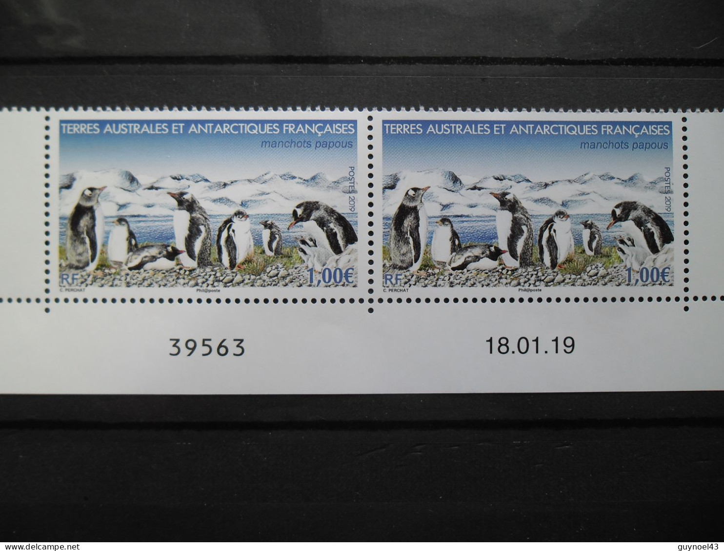 2019 Y/T N° 908 Daté 18-01-19 " Manchots Papous " Neuf*** - Unused Stamps