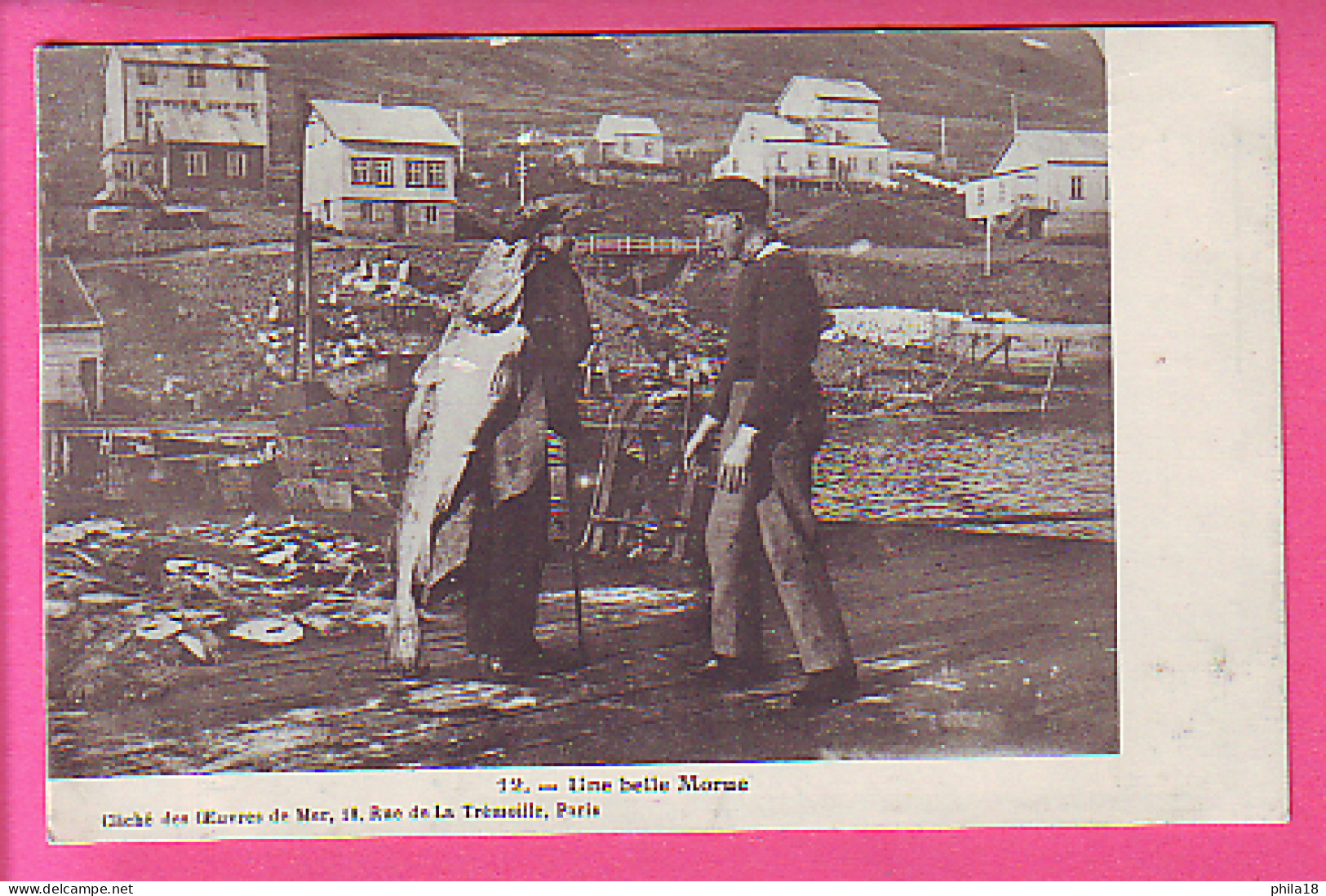 SAINT-PIERRE-et-MIQUELON - Une Belle Morue – Pêcheurs Cliché Des œuvres De La Mer - Saint-Pierre-et-Miquelon