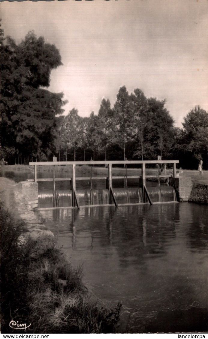 45 - LA FERTE SAINT AUBIN / BORDS DU COSSON - La Ferte Saint Aubin