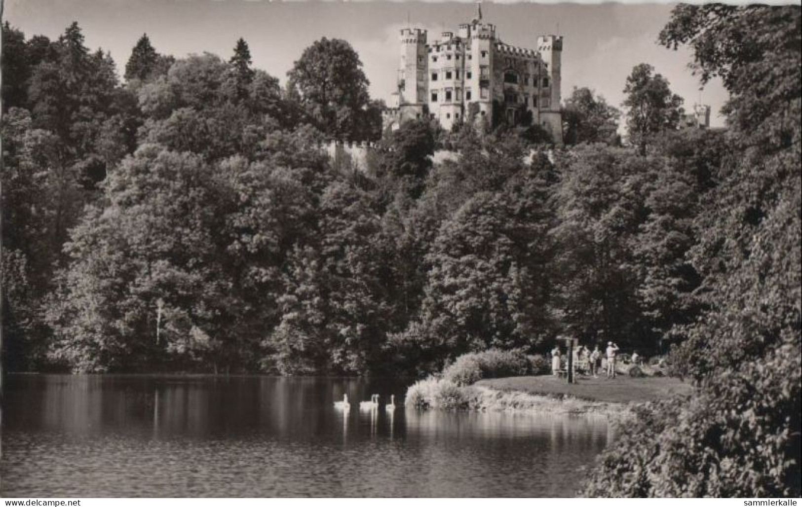 86180 - Schwangau, Hohenschwangau - Mit Alpsee - 1957 - Fuessen