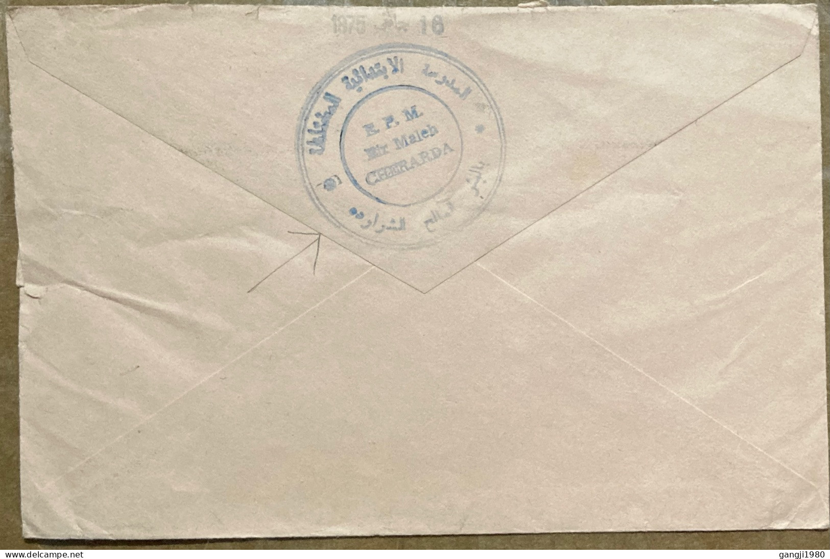 TUNISIA 1975, COVER  USED TO GERMANY, TUNISIA CARTHAGE, BIRD, ANIMAL, ART, ARTIST, CHERARDA CITY CANCEL. - Tunesien (1956-...)