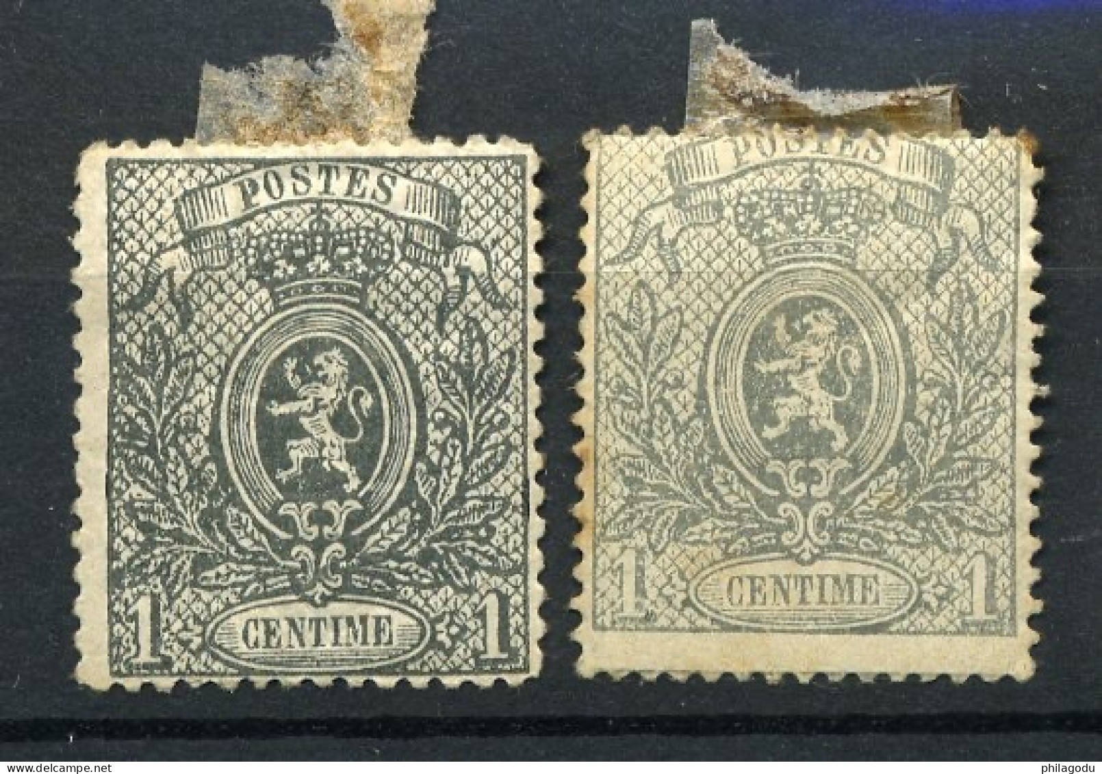 23 23a * Charnière  Met Plakker       Cote = 185 € - 1866-1867 Kleine Leeuw