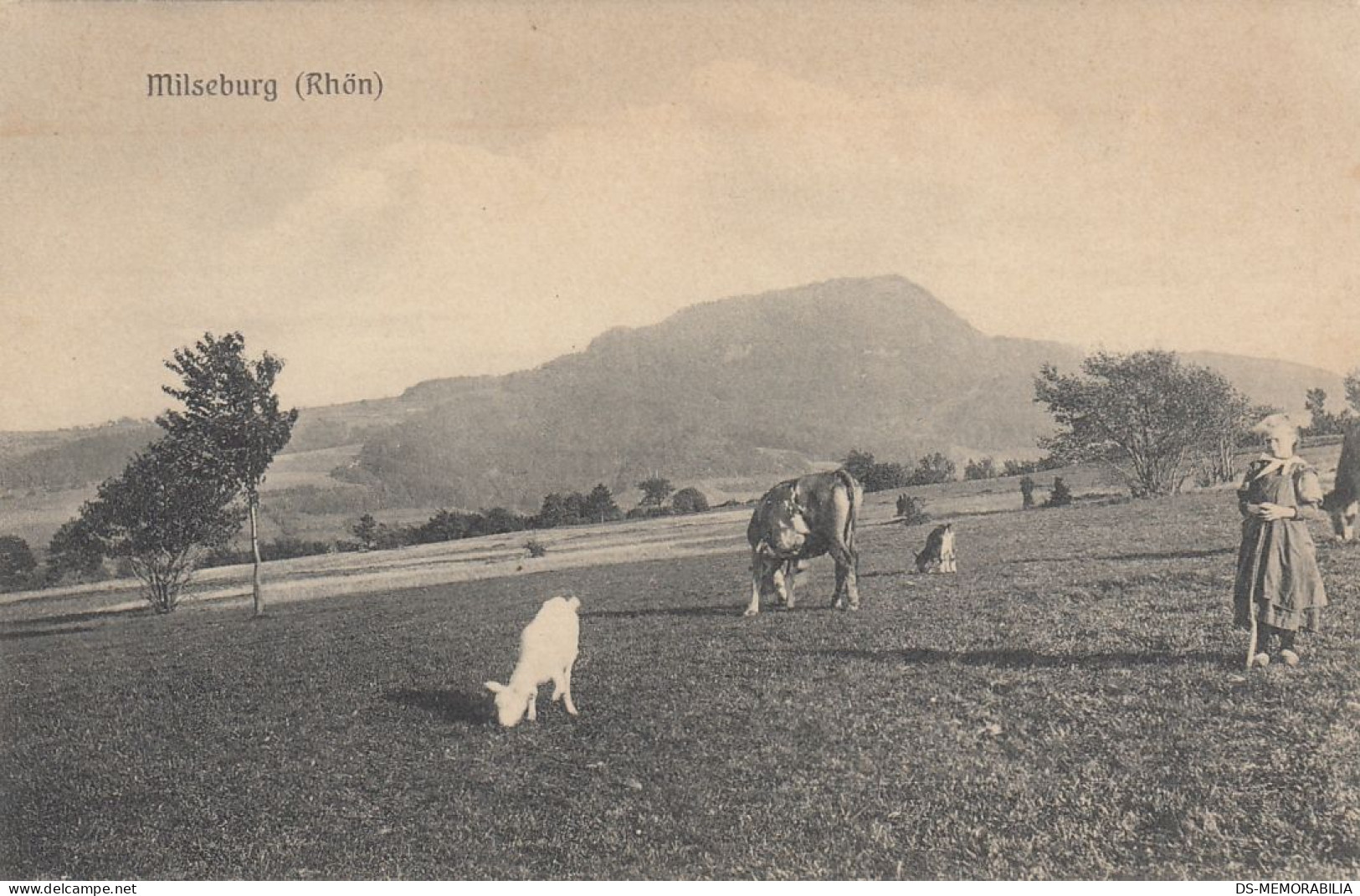 Milseburg Rhon - Kuh Ziege , Cow Goat Verlag Gustav Mandt Lauterbach - Hilders