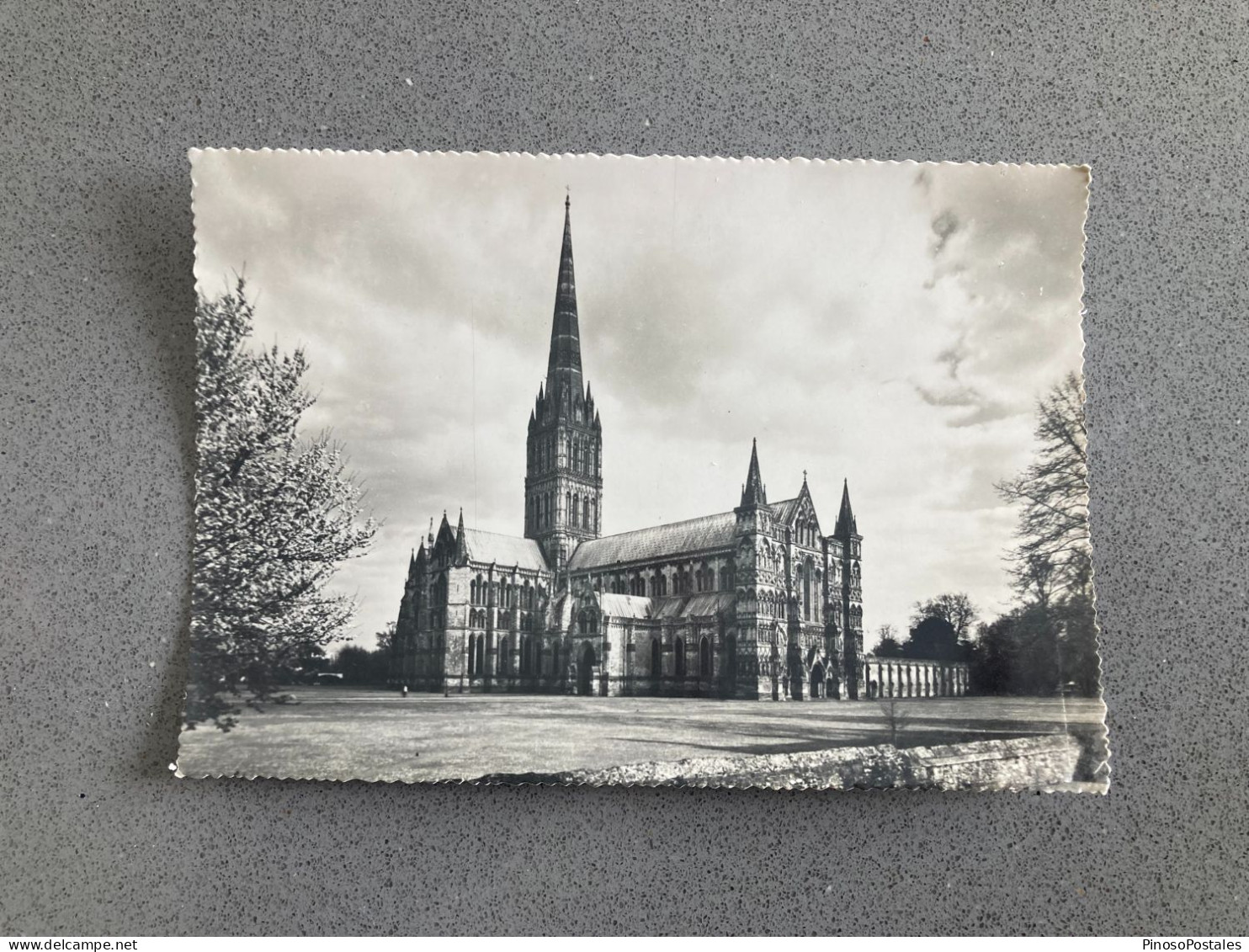 Salisbury Cathedral Carte Postale Postcard - Salisbury