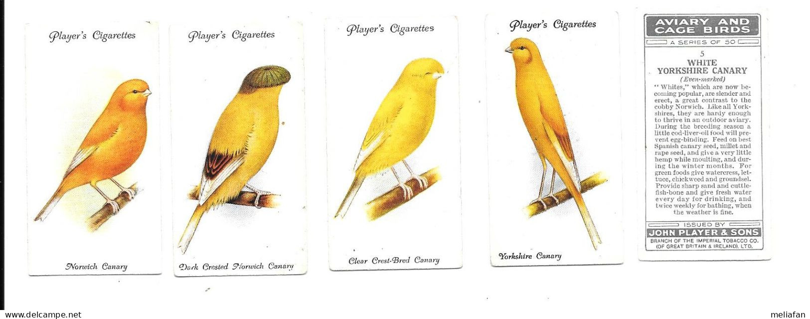 CJ29 - SERIE COMPLETE 50 CARTES CIGARETTES PLAYERS - AVIARY AND CAGE BIRDS - CANARIS ET OISEAUX DE CAGE - Player's