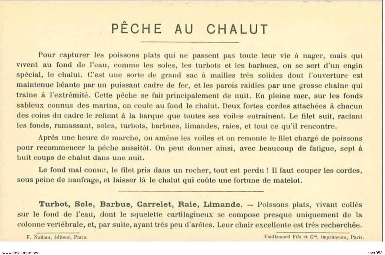 PECHE.PECHE MARITIME.PECHE AU CHALUT (TURBOTS ET BARBUES) - Pêche