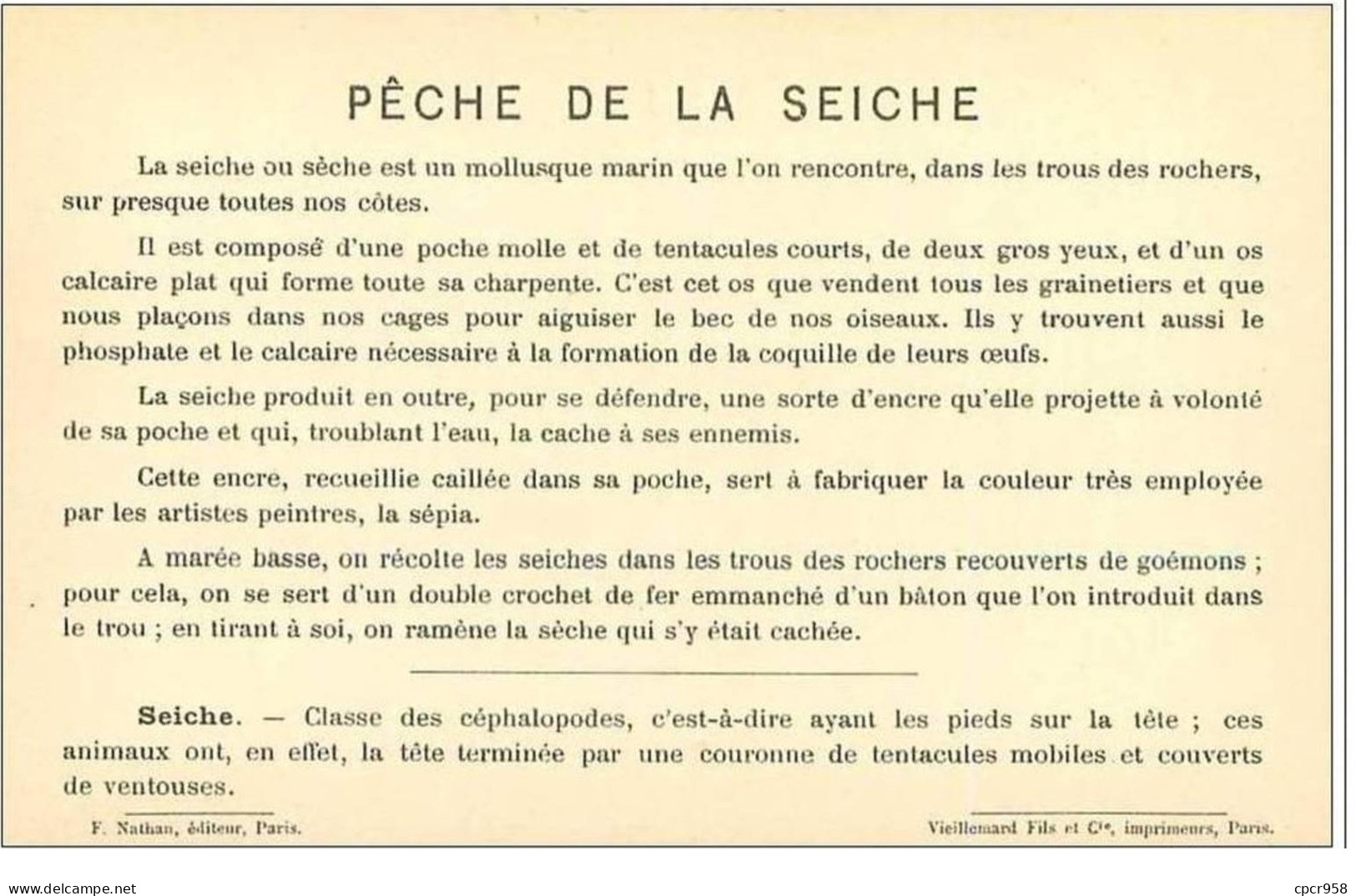 PECHE.PECHE MARITIME.PECHE A LA SEICHE,AU HARPON DOUBLE - Pesca