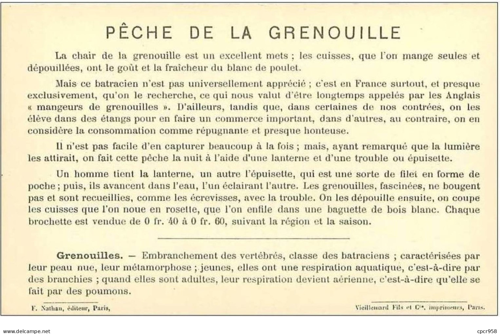 PECHE.LA PECHE D'EAU DOUCE.PECHE A LA GRENOUILLE A LA LANTERNE - Pesca