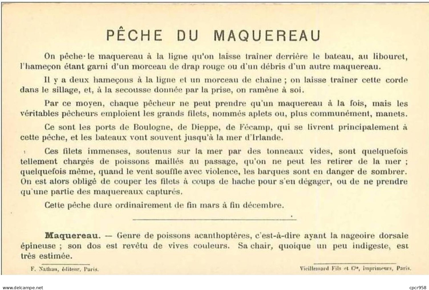 PECHE.PECHE MARITIME.PECHE AU MAQUEREAU,AUX APLETS - Pêche