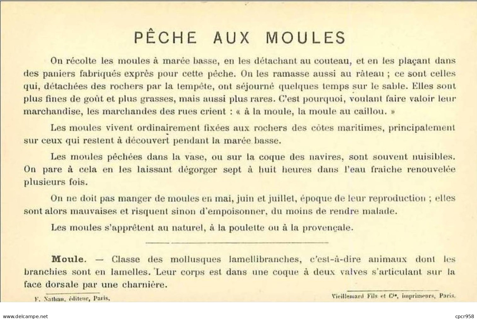 PECHE.PECHE MARITIME.PECHE AUX MOULES - Pêche