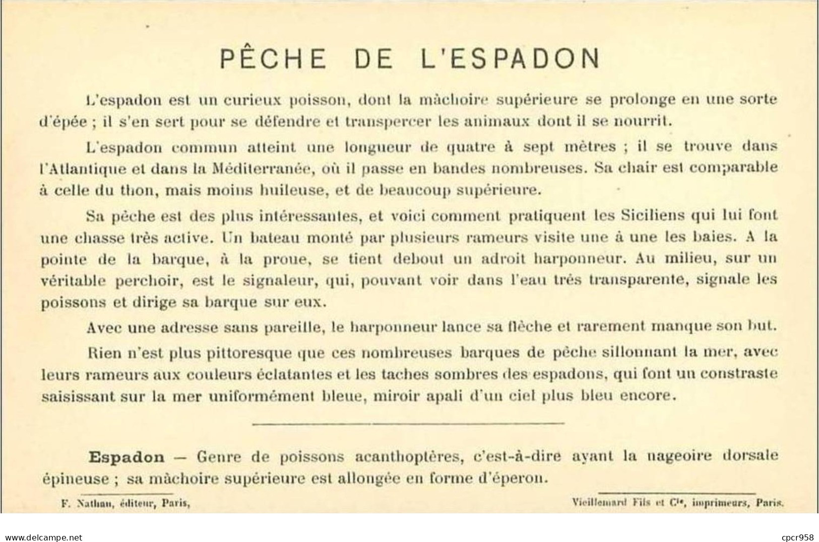 PECHE.PECHE MARITIME.PECHE DE L'ESPADON AU TRIDENT (MEDITERRANEE) - Pesca