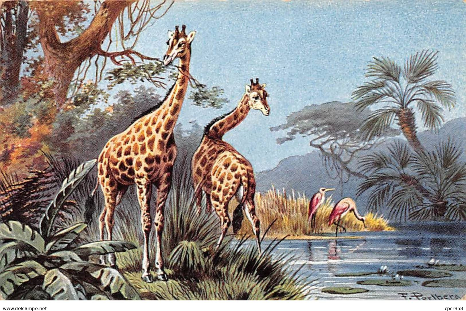 Illustrateur - N°86322 - F. Perlberg - Flamands Roses Et Girafes Les Pieds Dans L'eau - Perlberg, F.