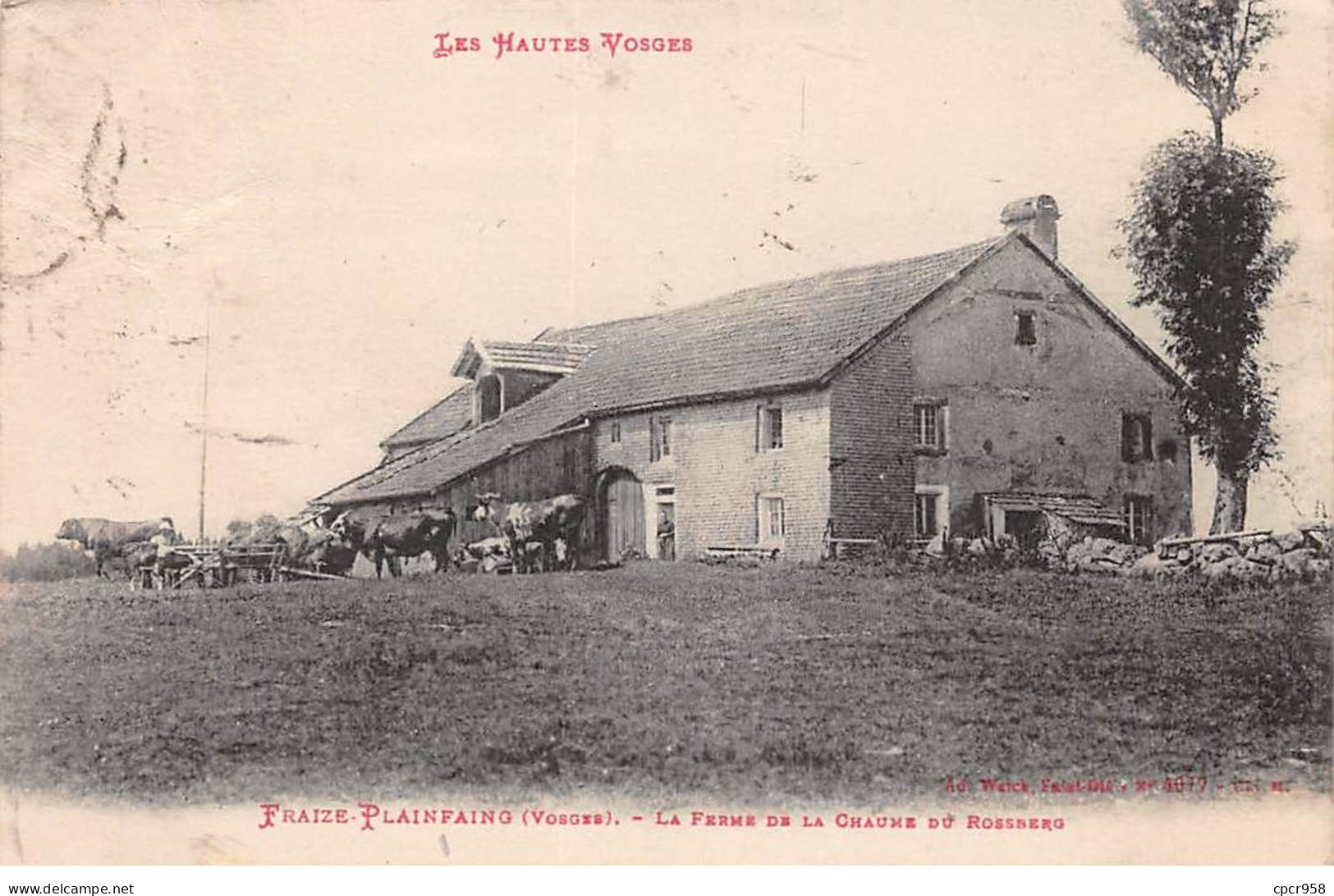 88.AM19174.Fraize Plainfaing.La Ferme De La Chaume Du Rossberg - Fraize