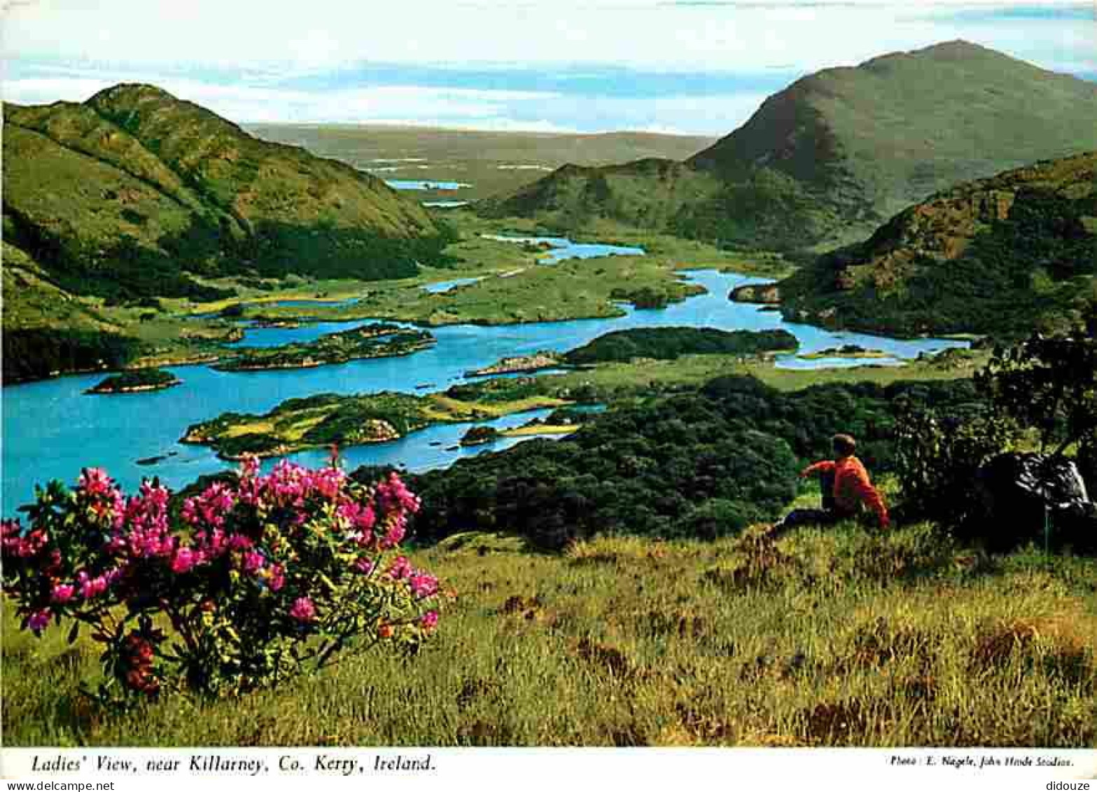 Irlande - Kerry - Ladies View Near Killarney - CPM - Voir Scans Recto-Verso - Kerry