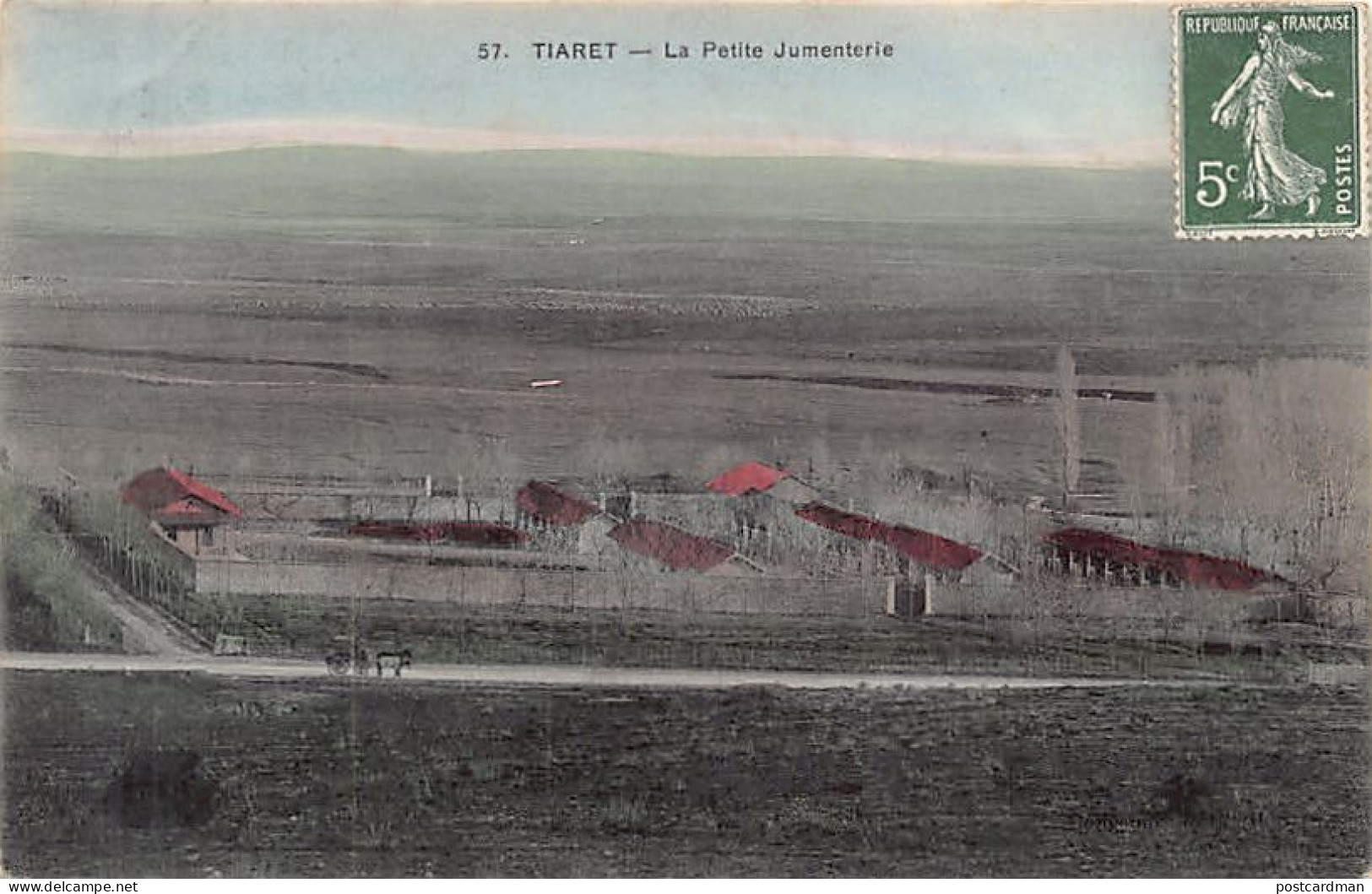 TIARET - La Petite Jumenterie - Ed. Collection Idéale P.S. 57 Aquarellée - Tiaret