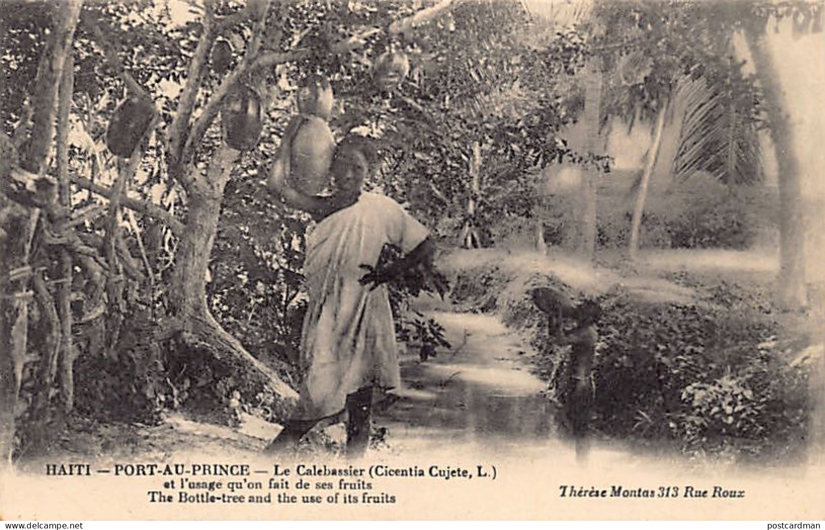 Haiti - The Bottle-tree And The Use Of Its Fruits - Ed. Thérèse Montas  - Haiti